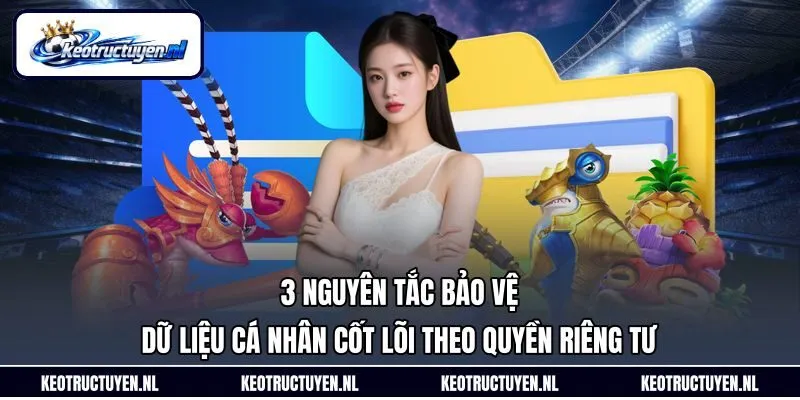 3 nguyên tắc bảo vệ dữ liệu cá nhân cốt lõi theo quyền riêng tư