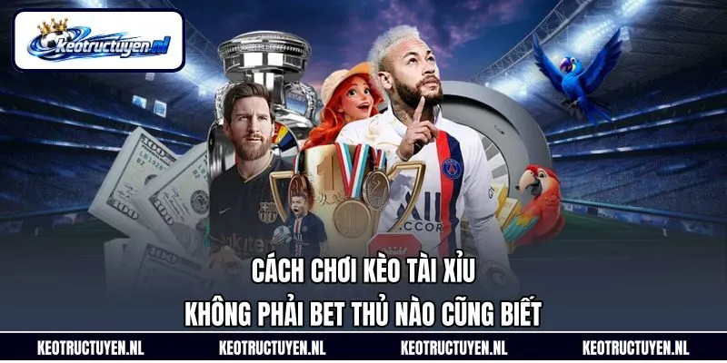 Cách Chơi Kèo Tài Xỉu Không Phải Bet Thủ Nào Cũng Biết