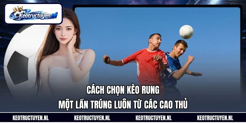 Cách Chọn Kèo Rung Một Lần Trúng Luôn Từ Các Cao Thủ