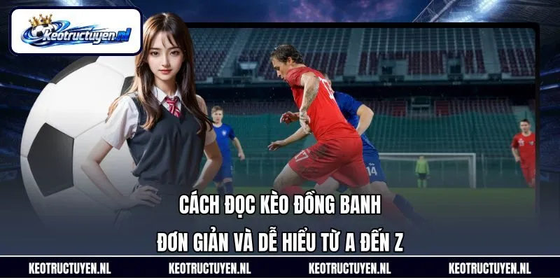 Cách Đọc Kèo Đồng Banh Đơn Giản Và Dễ Hiểu Từ A Đến Z