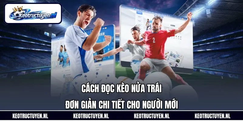Cách Đọc Kèo Nửa Trái Đơn Giản Chi Tiết Cho Người Mới