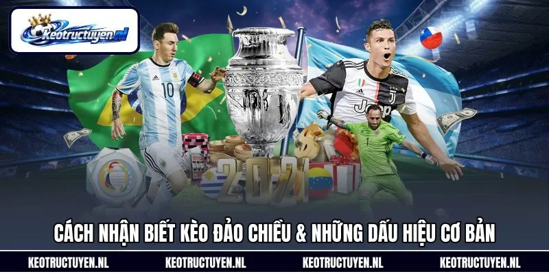 Cách Nhận Biết Kèo Chi Tiết Dành Cho Người Yêu Bóng Đá