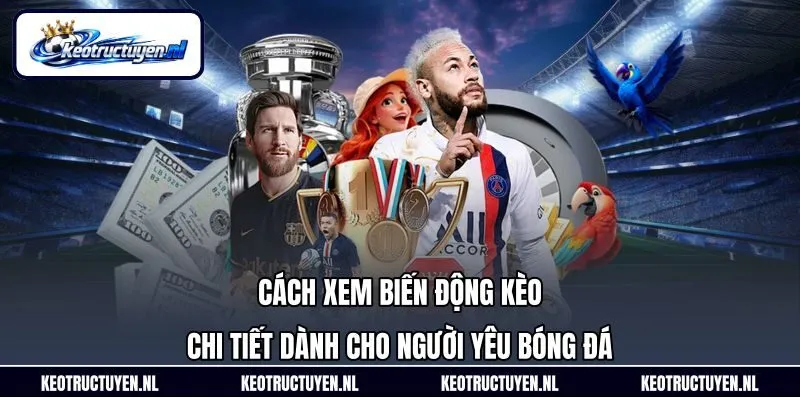Cách Xem Biến Động Kèo Chi Tiết Dành Cho Người Yêu Bóng Đá