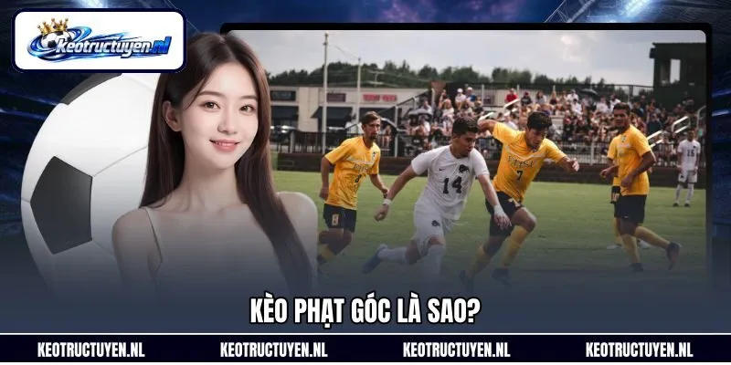 Kèo phạt góc là sao?