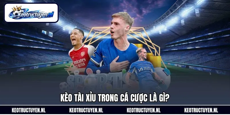 Kèo tài xỉu trong cá cược là gì? Kèo tài xỉu trong cá cược là gì?