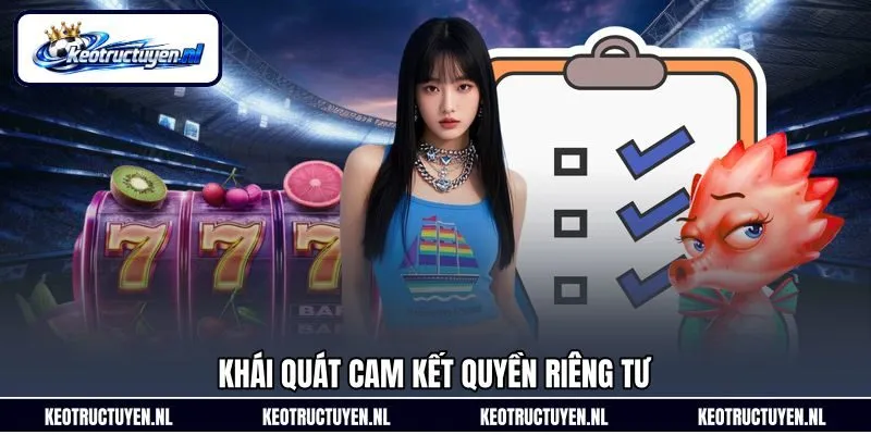 Khái quát cam kết quyền riêng tư
