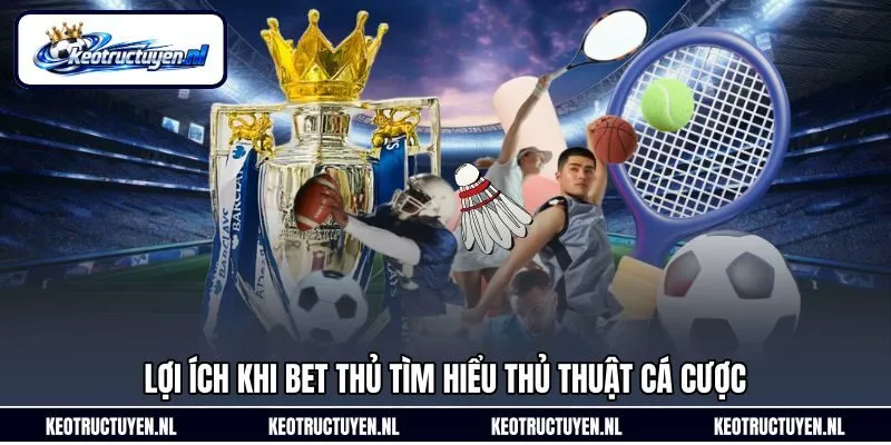 Lợi ích khi bet thủ tìm hiểu thủ thuật cá cược Lợi ích khi bet thủ tìm hiểu thủ thuật cá cược