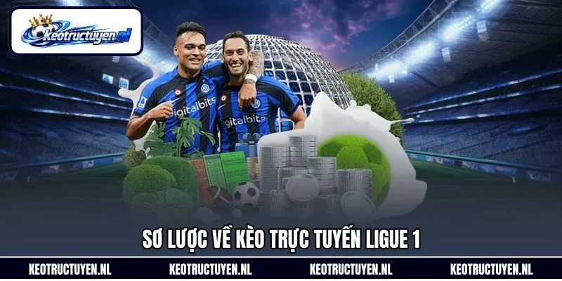 Sơ lược về kèo trực tuyến Ligue 1 Sơ lược về kèo trực tuyến Ligue 1