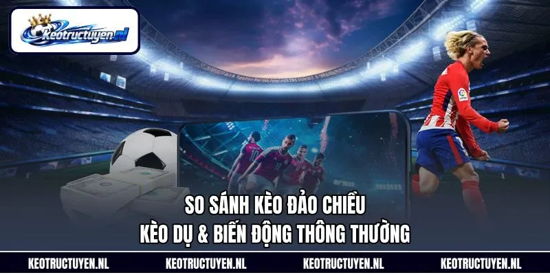 So sánh kèo đảo chiều, kèo dụ & biến động thông thường