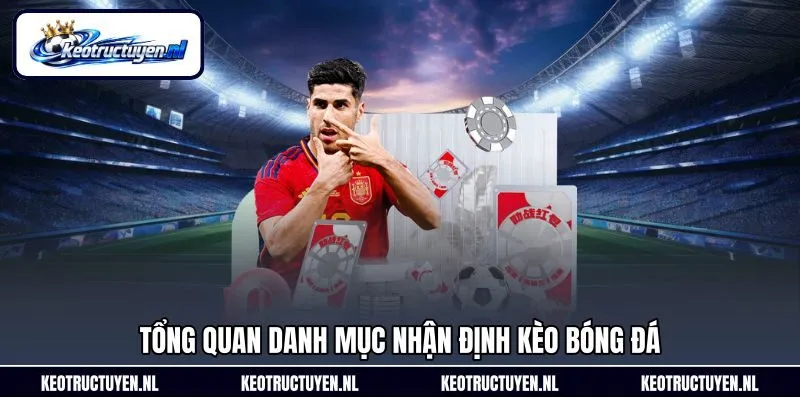 Tổng quan danh mục nhận định kèo bóng đá Tổng quan danh mục nhận định kèo bóng đá