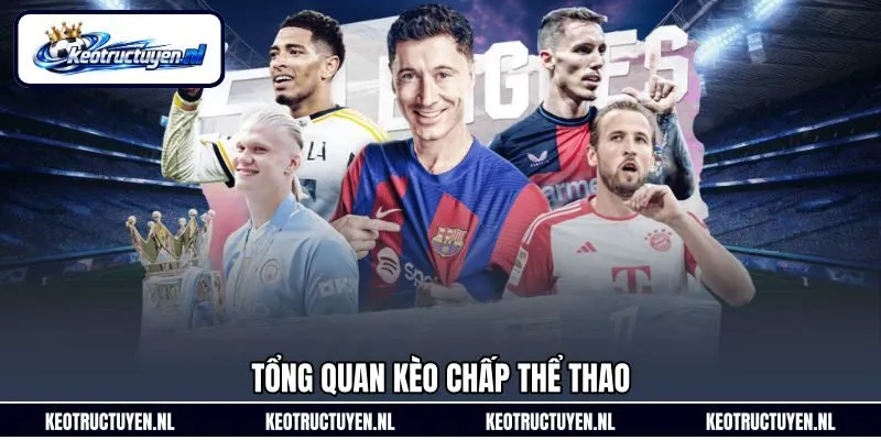 Tổng quan kèo chấp thể thao