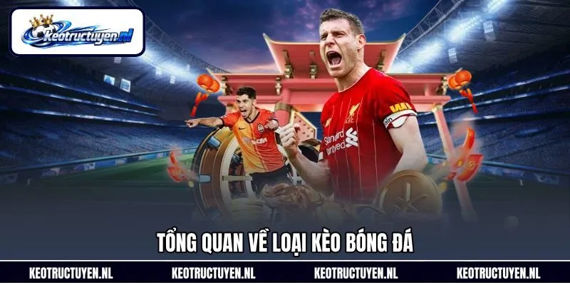 Tổng quan về loại kèo bóng đá