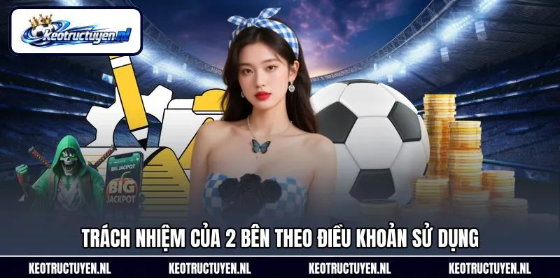 Trách nhiệm của 2 bên theo điều khoản sử dụng